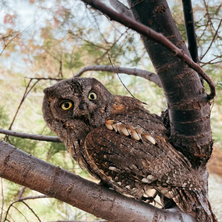 Foto di Rugile Medisauskaite Pexels